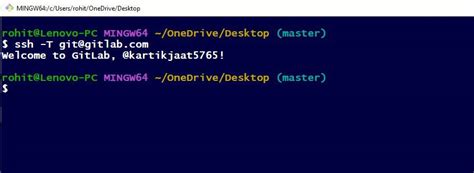 gitlab ci permission denied|gitlab push permission denied.